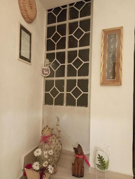 Casa San Carlo Affittacamere Foligno Esterno foto
